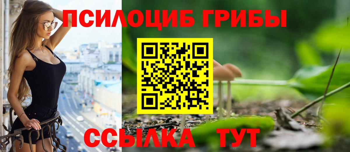 наркотики  Вход с VPN  Старый Оскол  Галлюциногенные грибы мицелий 